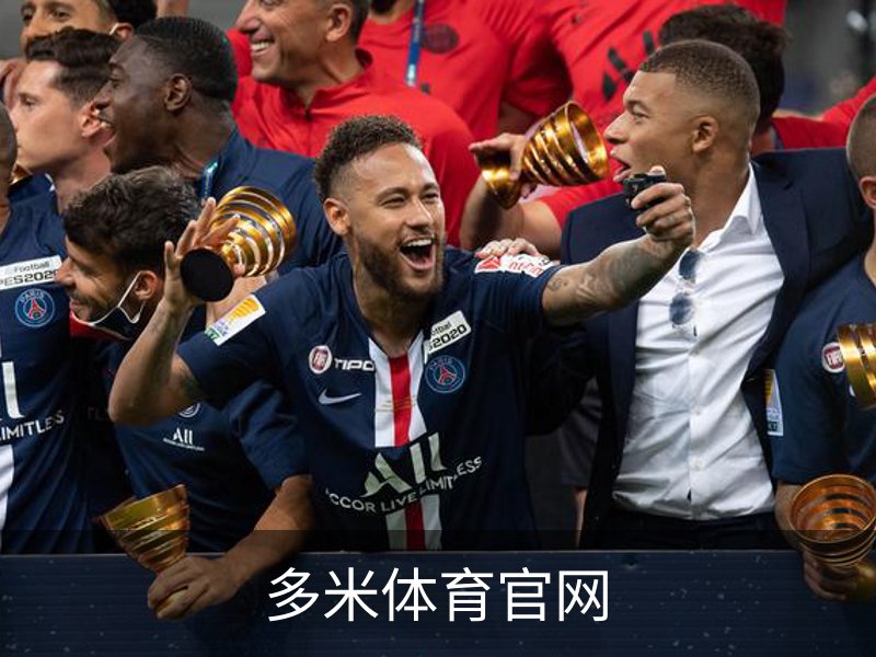 多米体育官网简介